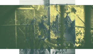 Minimalismus, DIY und bewusster Verzicht liegen im Trend