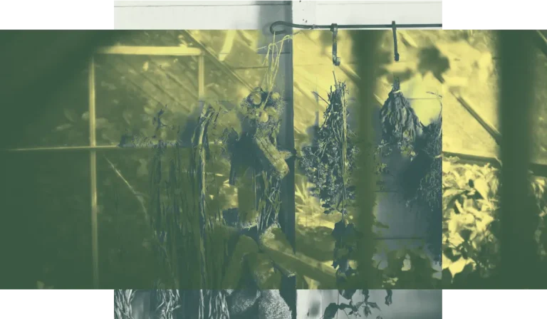 Minimalismus, DIY und bewusster Verzicht liegen im Trend