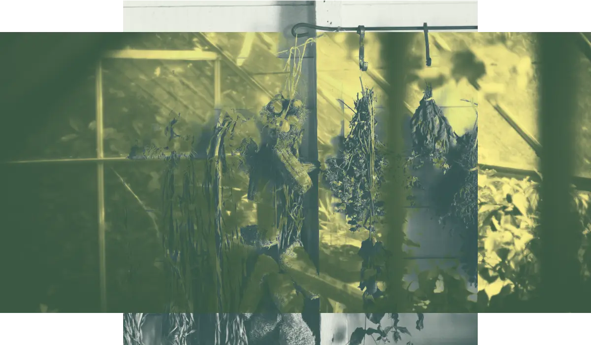 Minimalismus, DIY und bewusster Verzicht liegen im Trend