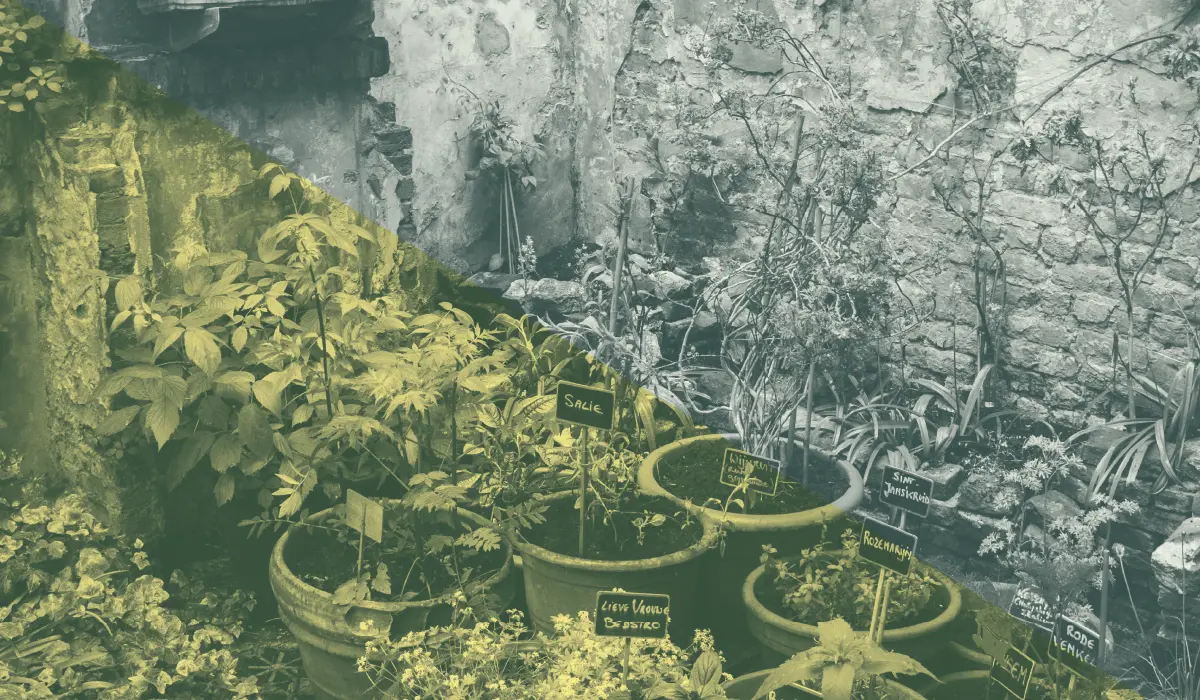 Minimalismus, DIY und bewusster Verzicht liegen im Trend