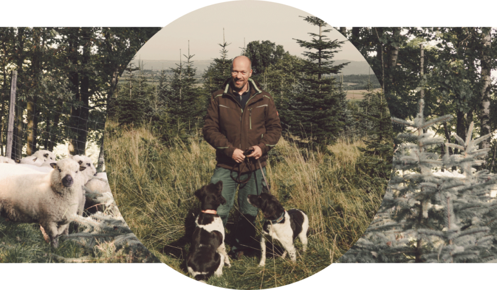 Oh (Bio) Tannenbaum · Bioboom Das Magazin für Kopf und Bauch