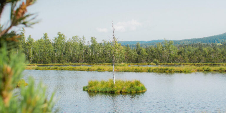 Bioboom Ausgabe 105 Aktuelles — Sauberes Wasser durch deutsche Öko-Landwirtschaft