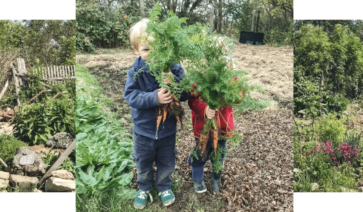 Bioboom besucht moderne Selbstversorger - Familie Lellinger im Interview