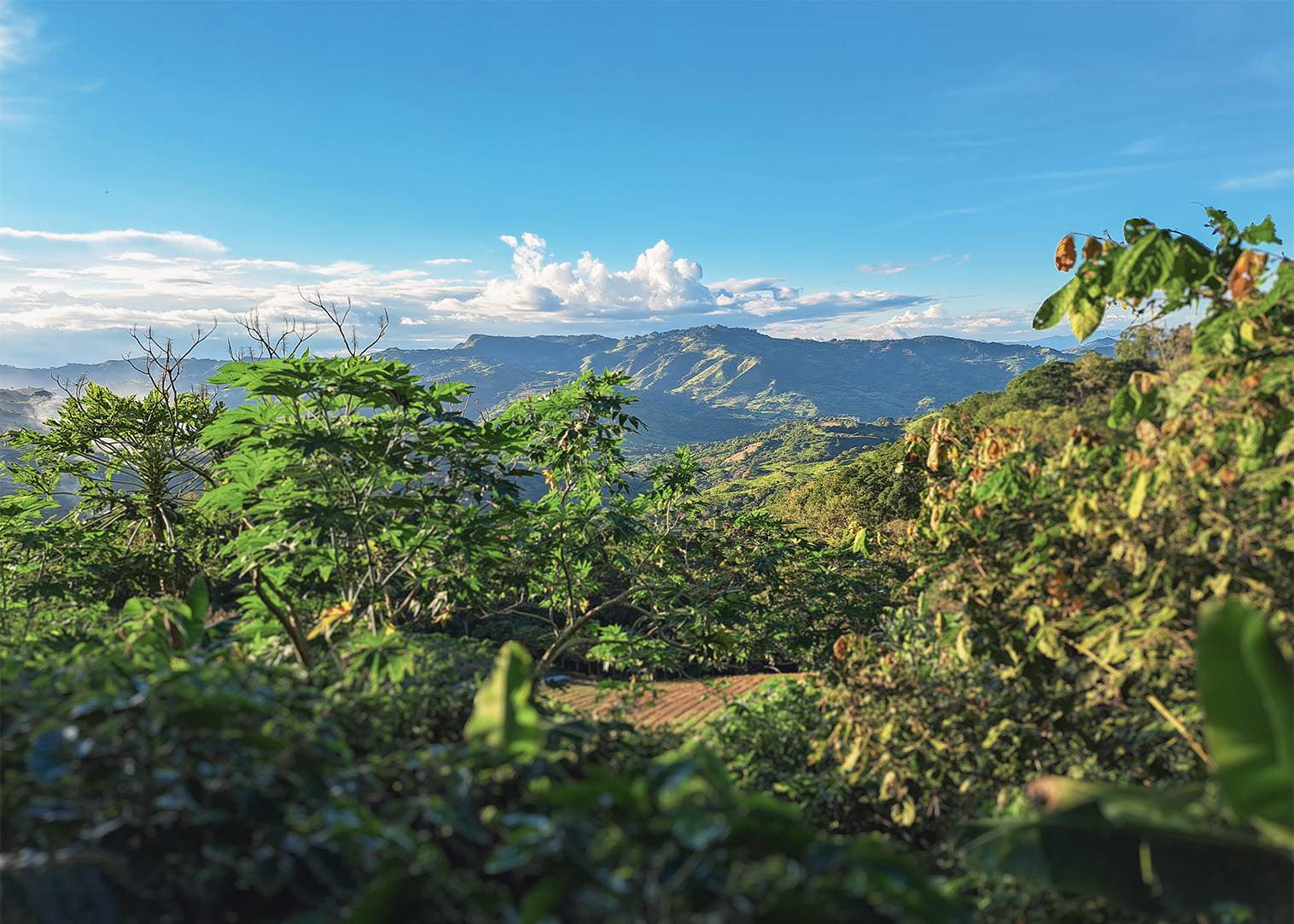 BBM 109 – Ortstermin