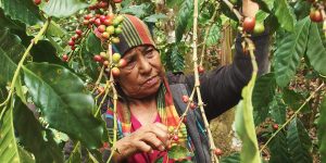 BBM 109 – Ortstermin