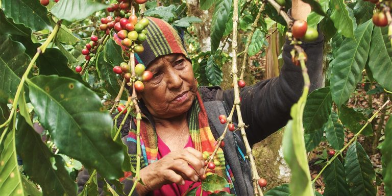 BBM 109 – Ortstermin