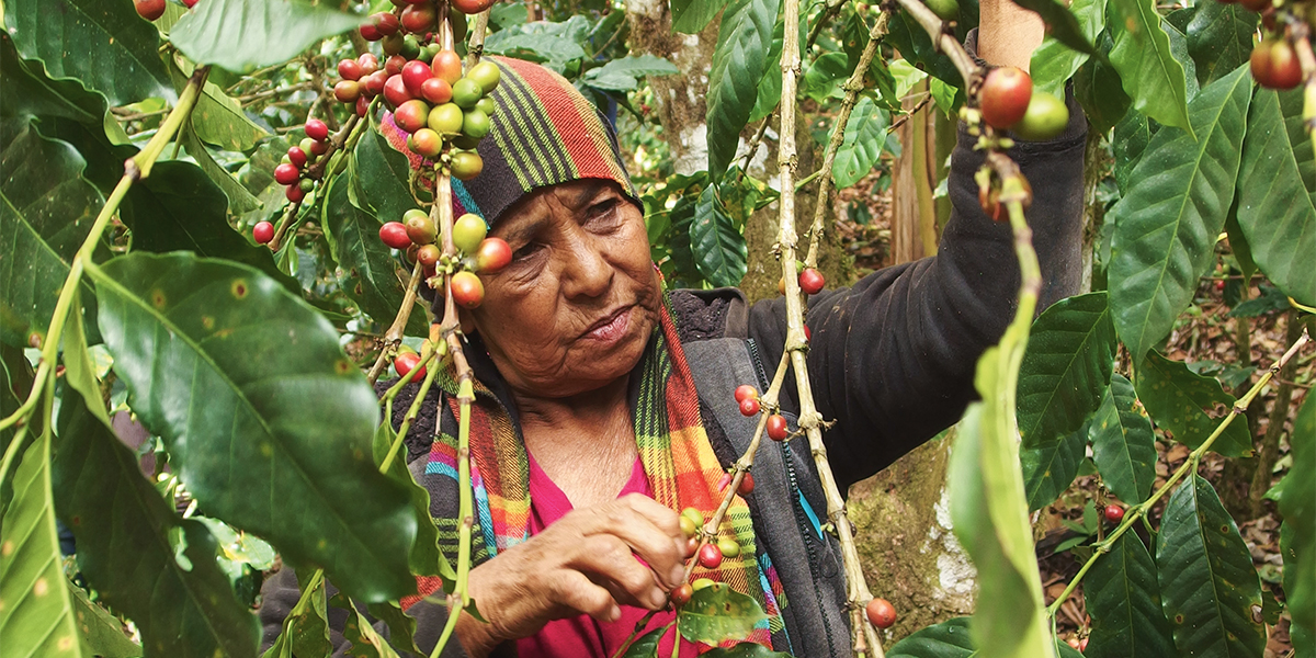 BBM 109 – Ortstermin