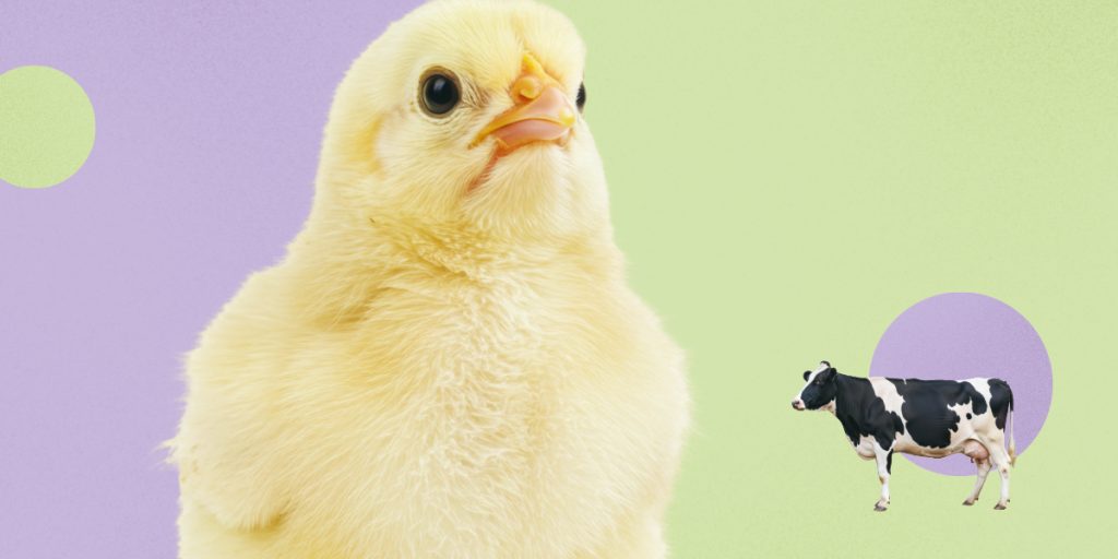 Bio funk­tio­niert in jedem Mass­stabDie Gro­ßen und die Kleinen