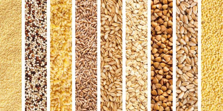 Bioboom 110 – Regionalbeilage – Reisalternativen Bulgur, Quinoa & Co.