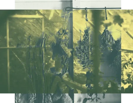 Minimalismus, DIY und bewusster Verzicht liegen im Trend