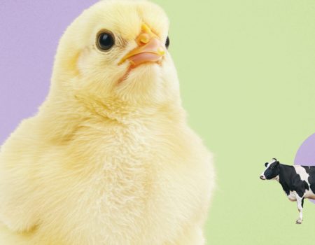 Bioboom 110 – Thema –Die Großen und die Kleinen