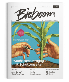 BBM 108 – Herbstausag