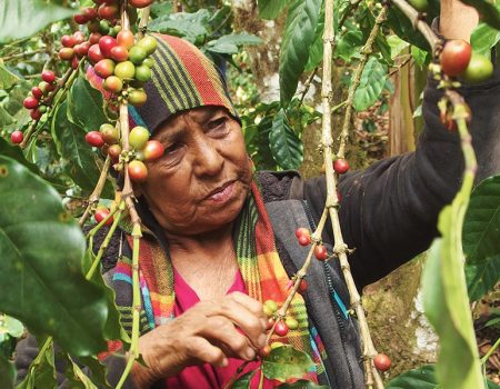 BBM 109 – Ortstermin