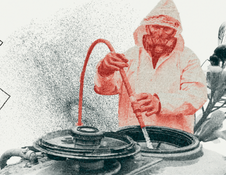 Bioboom Sommerausgabe 2023 – Titelbild zum Thema Pestizide