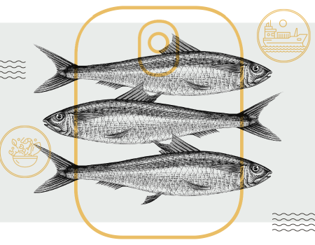 Fischkonsum – Geht was oder No-Go?